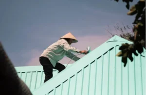 Roof Washing Service 