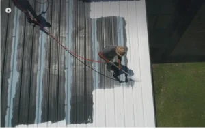 Sydney Roof Painting 