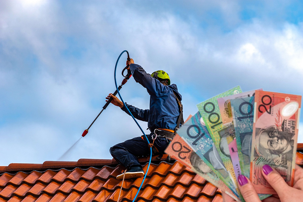 Roof cleaning Sydney