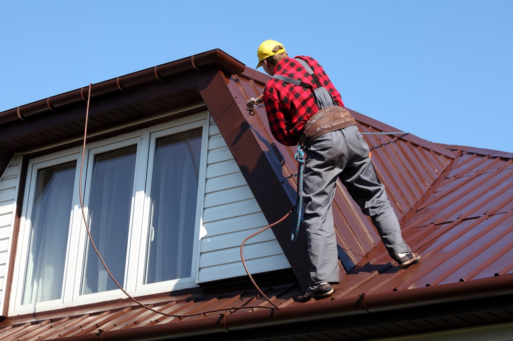 Roof Painting