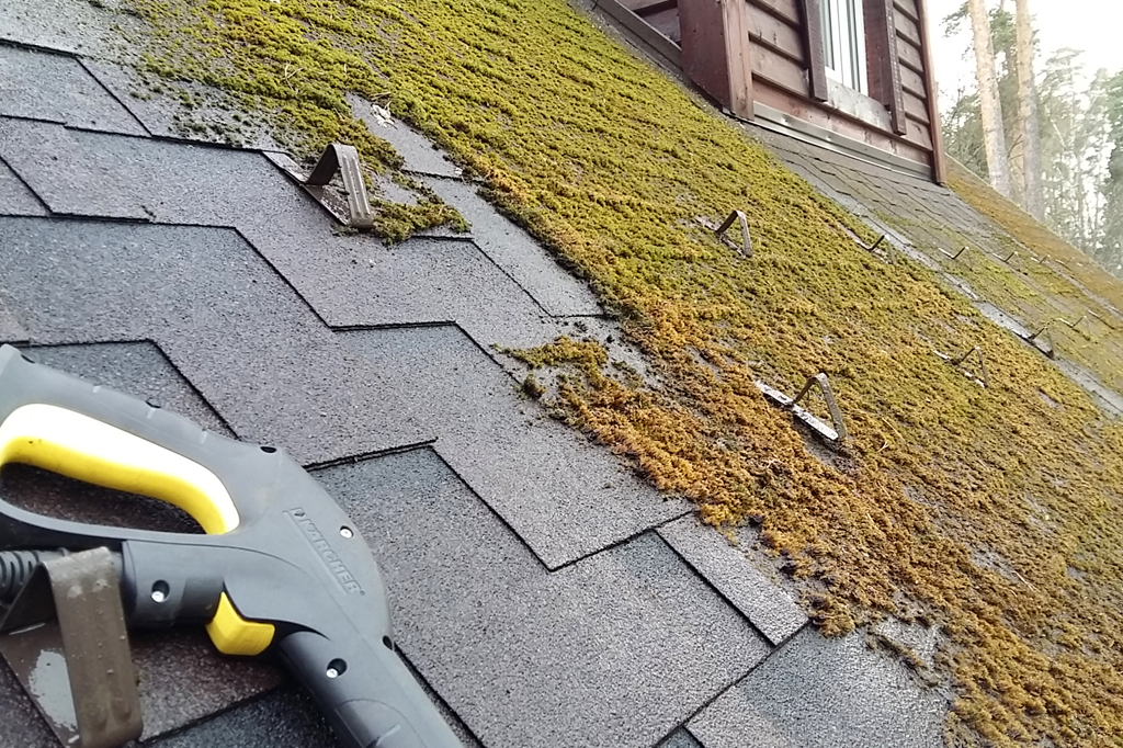 Roof Washing sydney