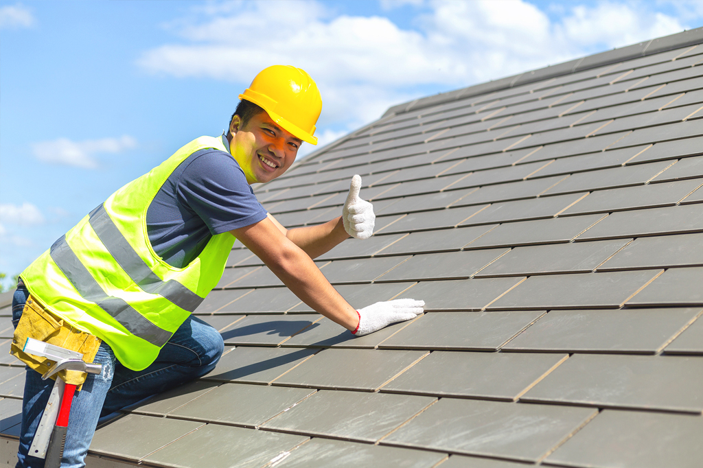 house roof painting