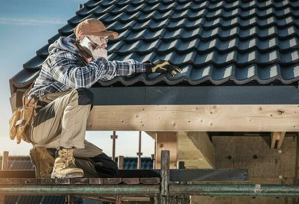 roof repair in Enmore