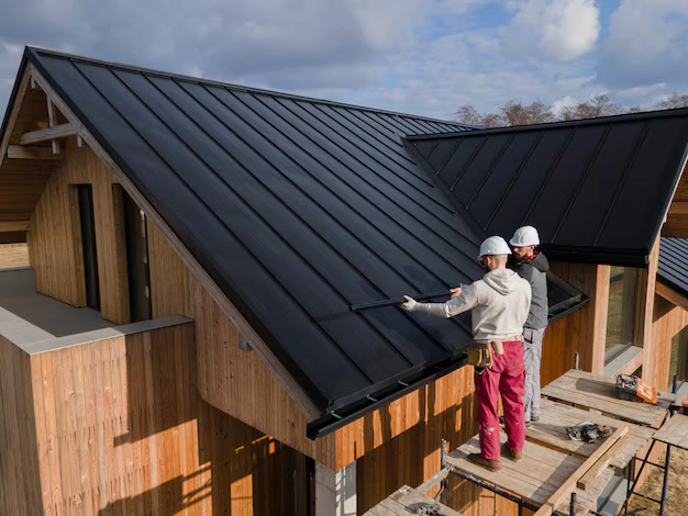 roof repair in Balmain