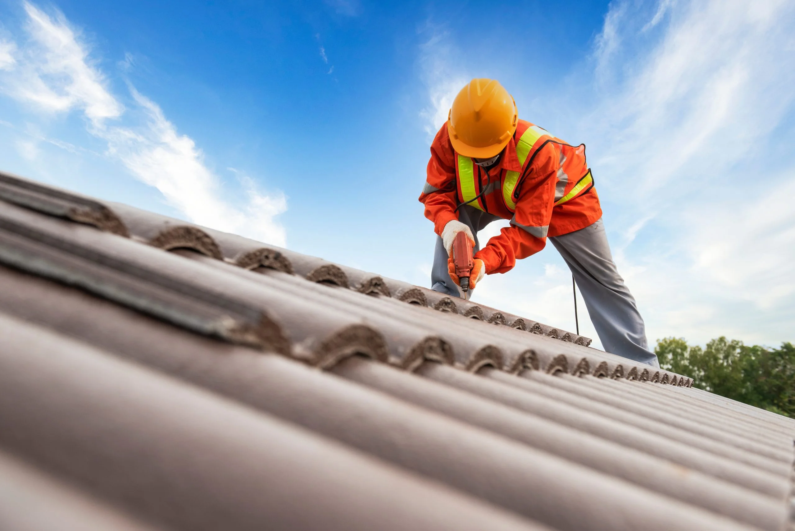Roof Cleaning in Haberfield