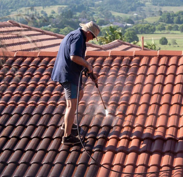 Professional Roof Cleaning