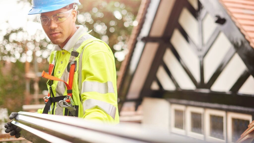 Roof Cleaning in Strathfield
