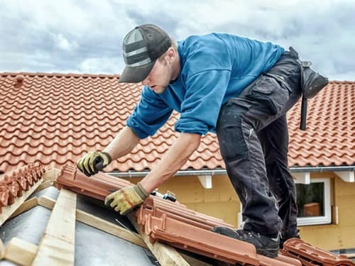 Roof cleaning in Inner West
