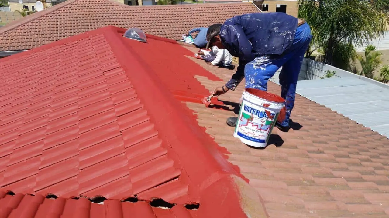 Roof painting services