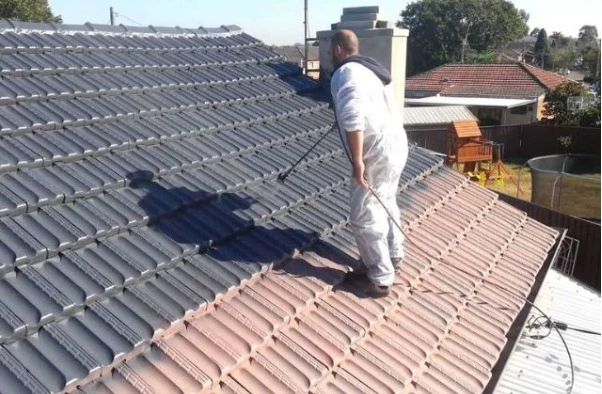 Sydney Roof Painting